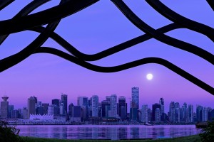 世界举重康复在线课堂优秀课堂提案大赛启动征集，2021年世界举重比赛视频